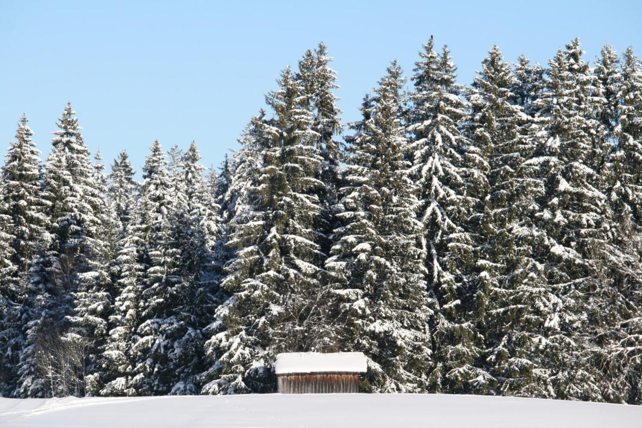 شقة Haus Allgaeu Ruh Görisried المظهر الخارجي الصورة