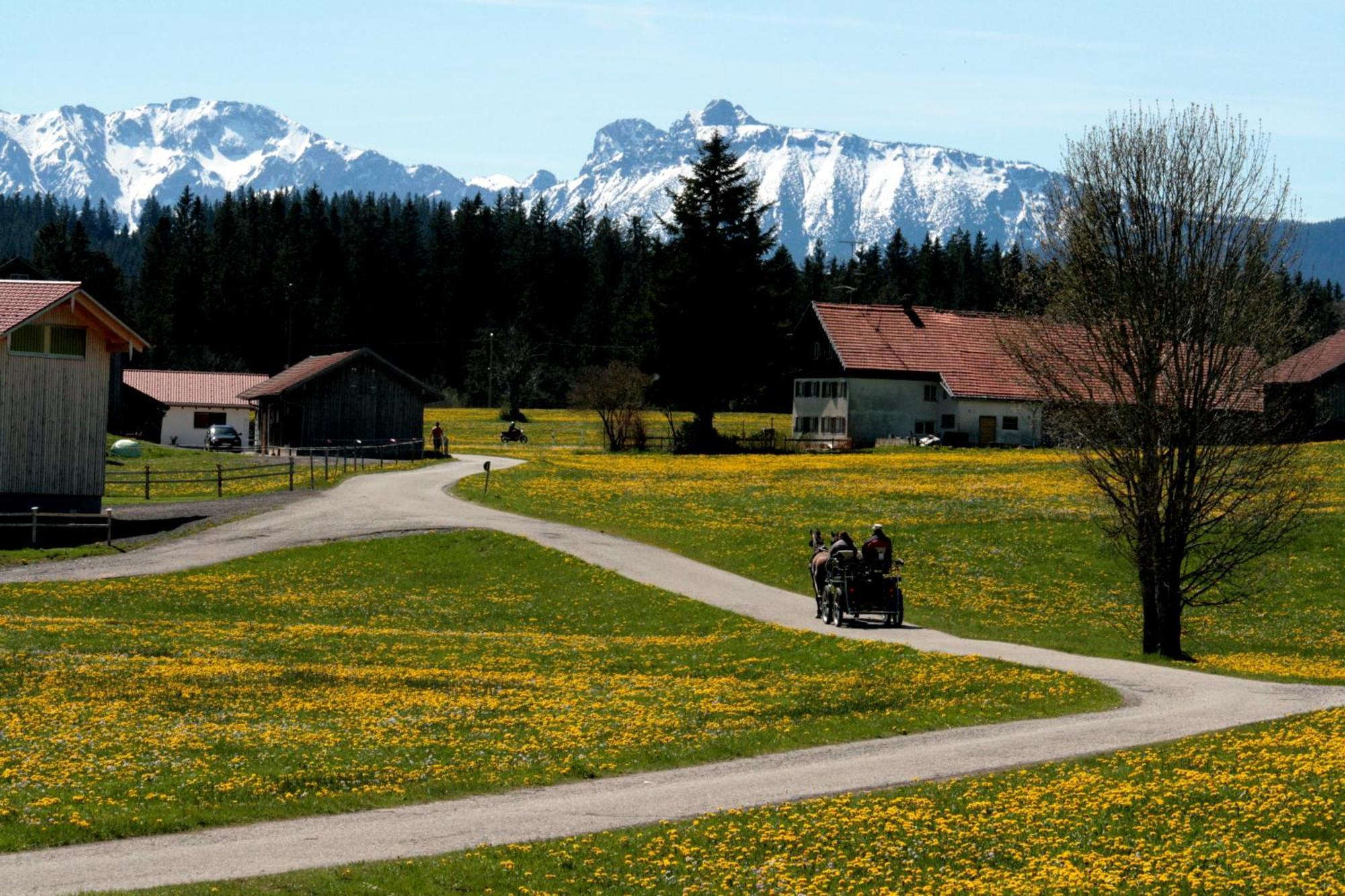 شقة Haus Allgaeu Ruh Görisried الغرفة الصورة